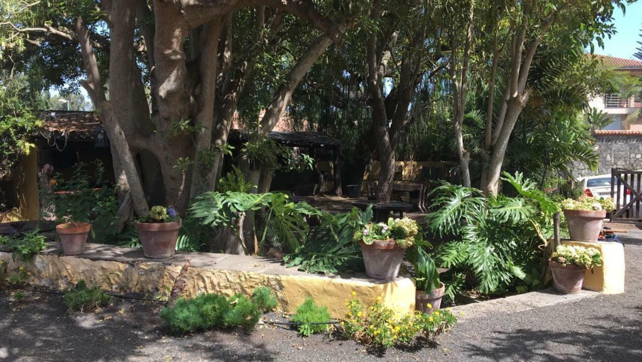 Bellasombra Suites Las Palmas de Gran Canaria Eksteriør bilde