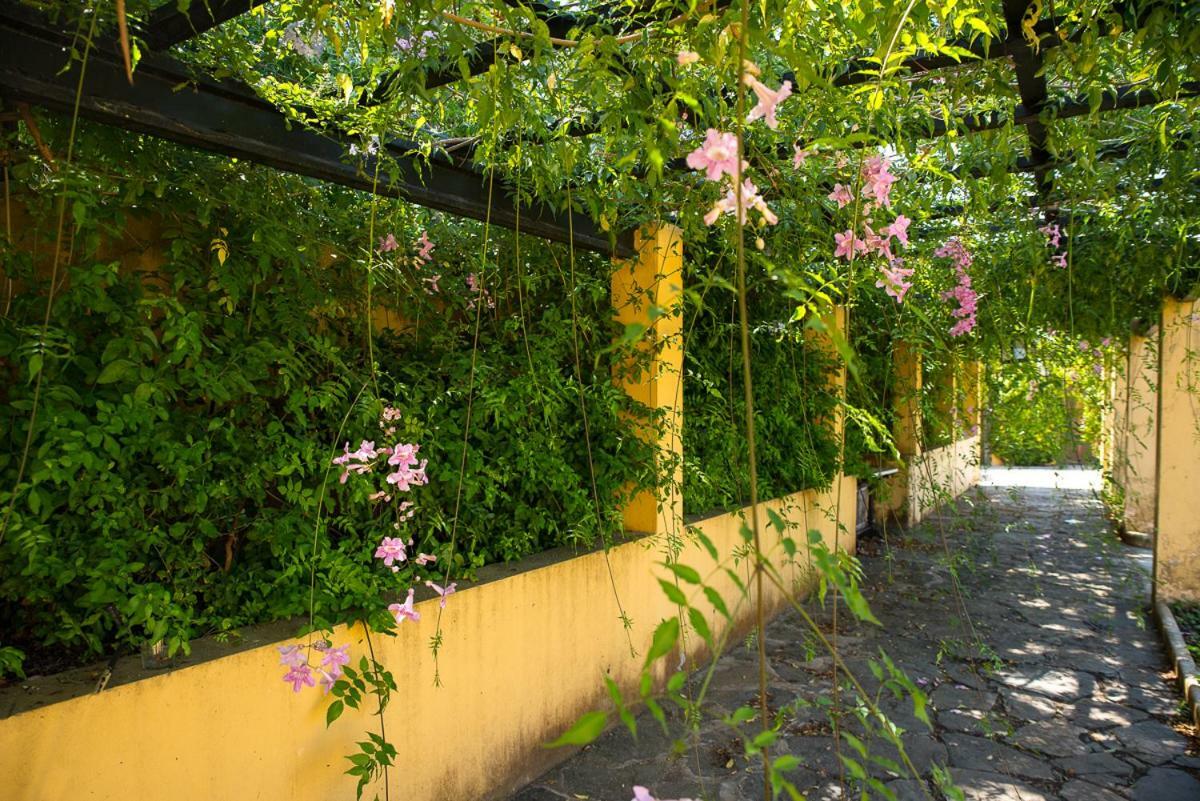 Bellasombra Suites Las Palmas de Gran Canaria Eksteriør bilde